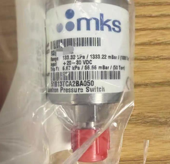 MKS 51B13TCA2BA050 ASM 33-123495A31 1