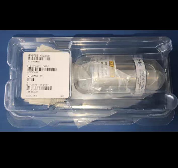 MKS 631C01TMFH CDG 150 C 1 Torr 1 5