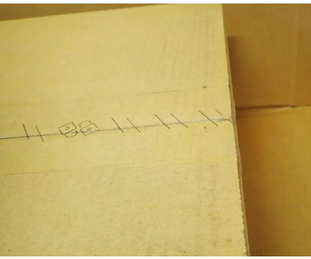 N2224PX-ON 5GbE SFP28