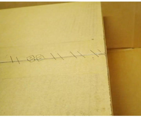 N2224PX-ON 5GbE SFP28