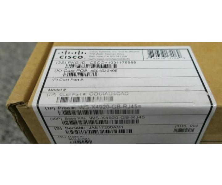 WS-X4920-GB-RJ45 4900M