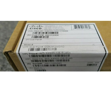 WS-X4920-GB-RJ45 4900M