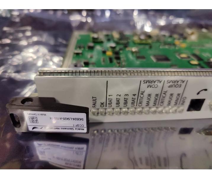 S42024-L5425-A100 CCSP-1