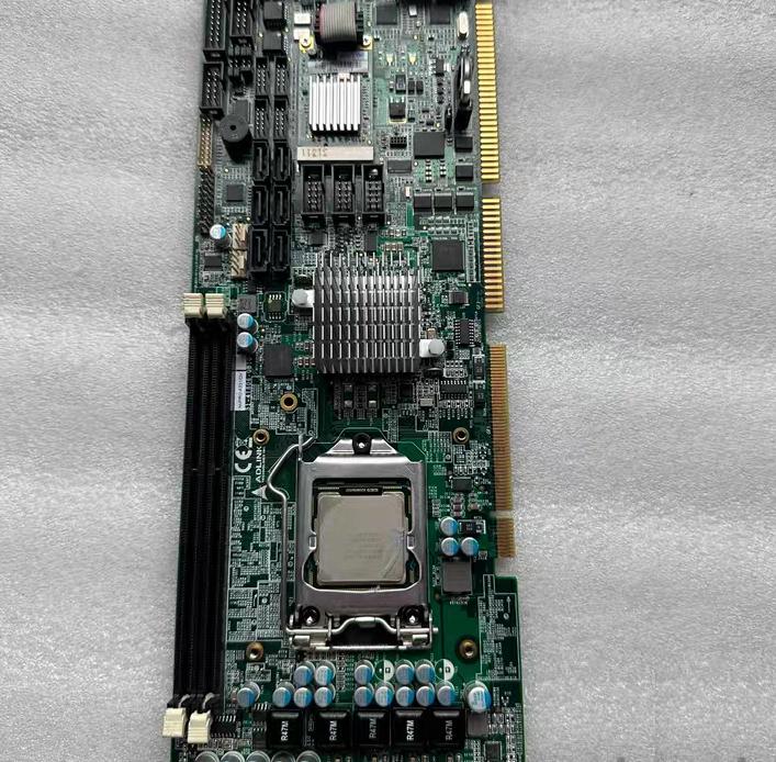 NuPRO-A331 DV 1156 30