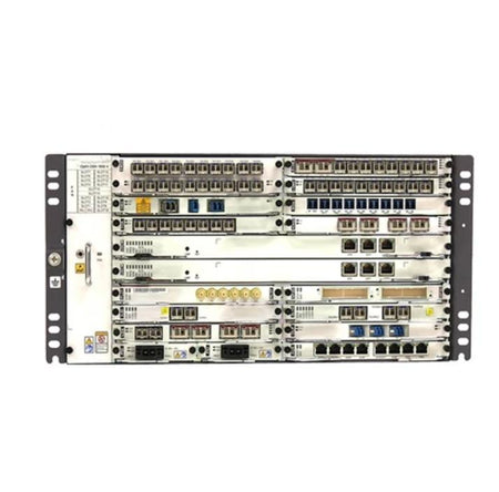 Multi-Service MS-OTN 100G