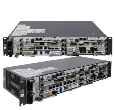 Multi-Service 100G