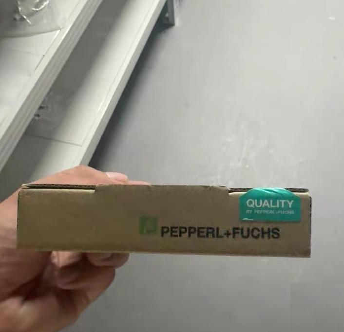 PEPPERL FUCHS KFD0-CS-EX1 51P 294980 CE
