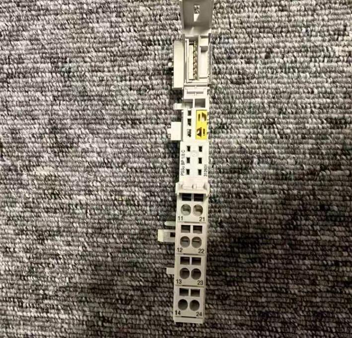 PILZ 312601
