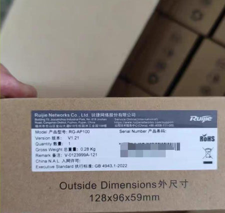 RG-AP100
