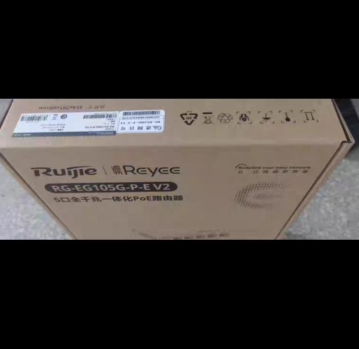 RG-EG105G-P-E V2