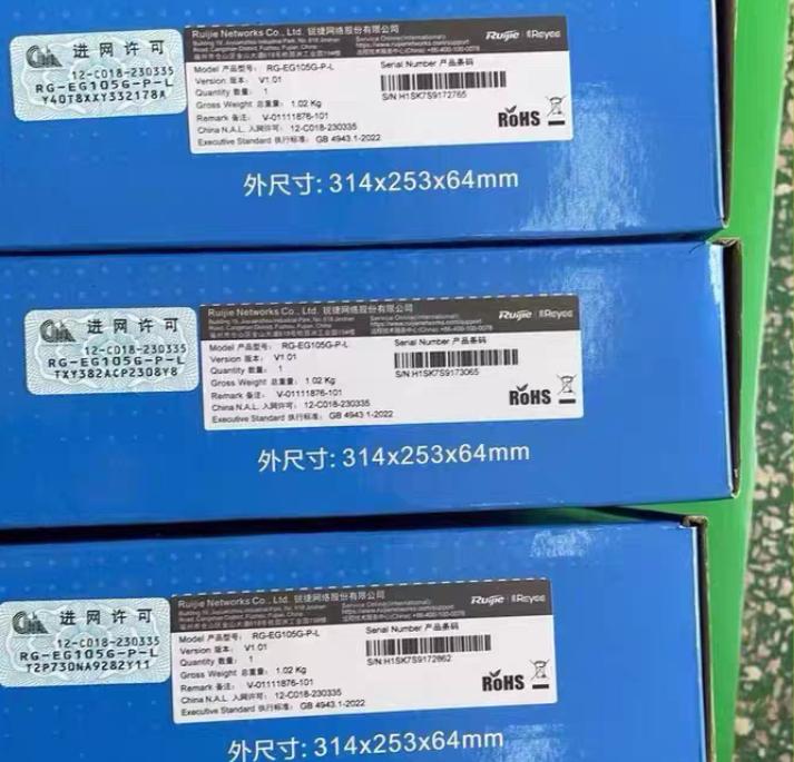 RG-EG105G-P-L