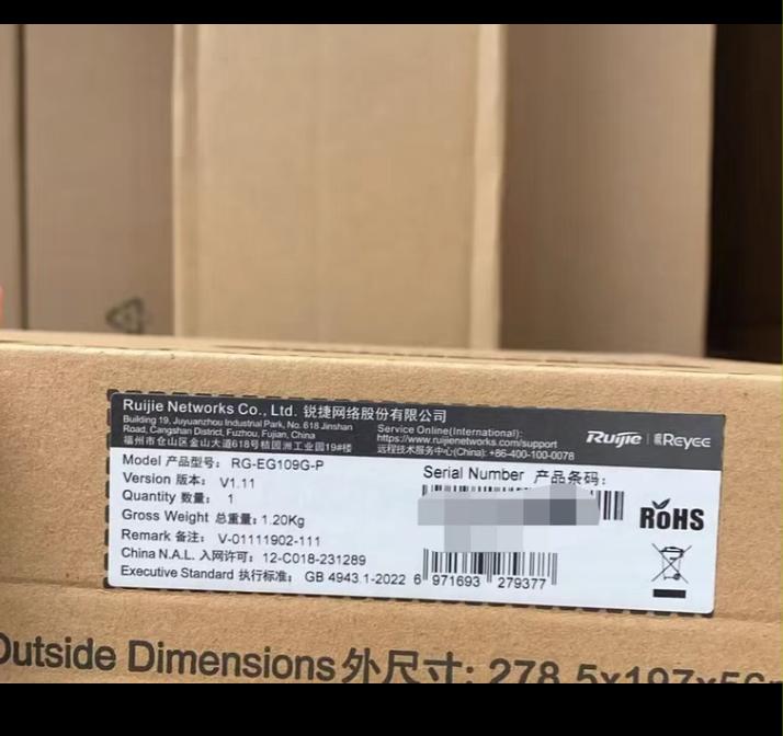 RG-EG109G-P