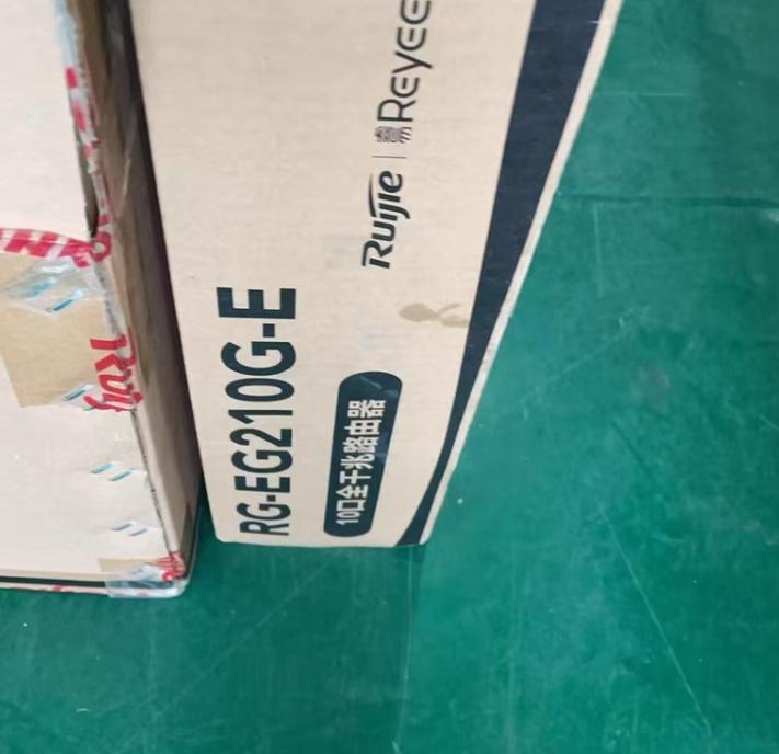RG-EG210G-E