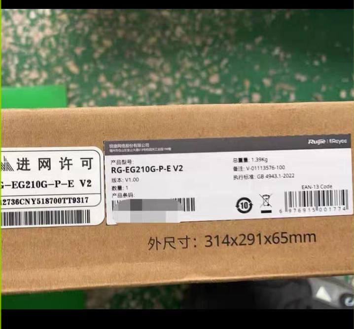 RG-EG210G-P-E V2