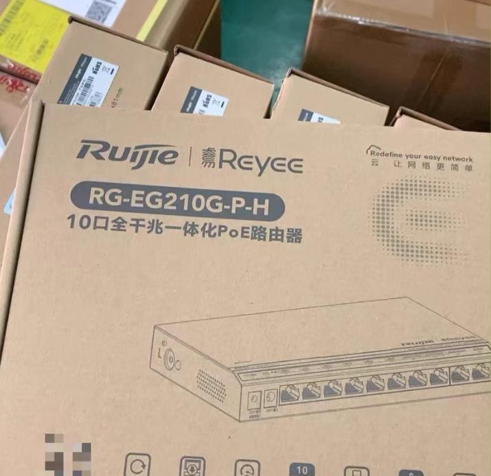 RG-EG210G-P-H