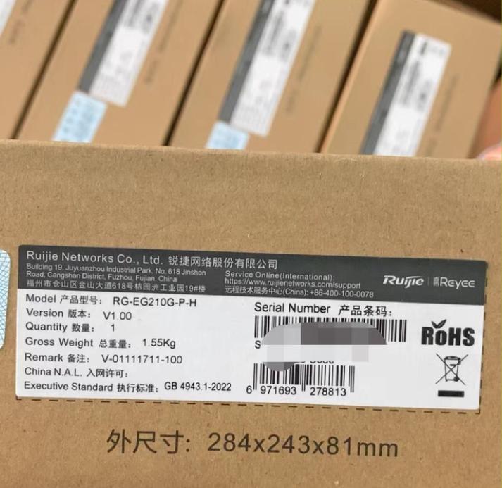 RG-EG210G-P-H
