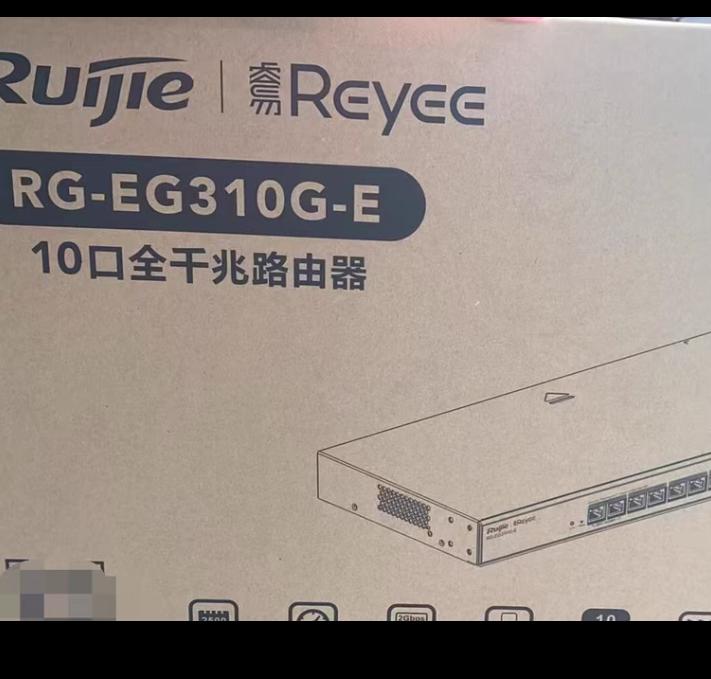 RG-EG310G-E