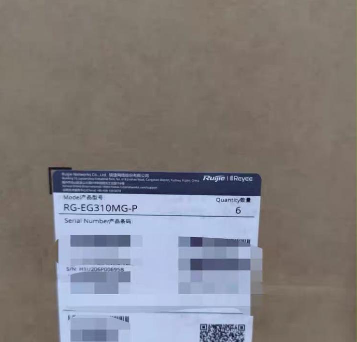 RG-EG310MG-P