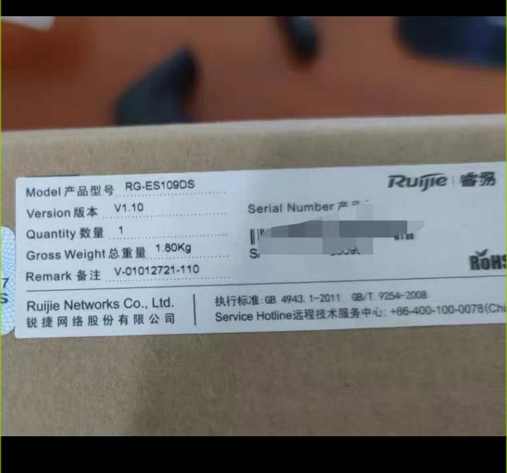 RG-ES109DS