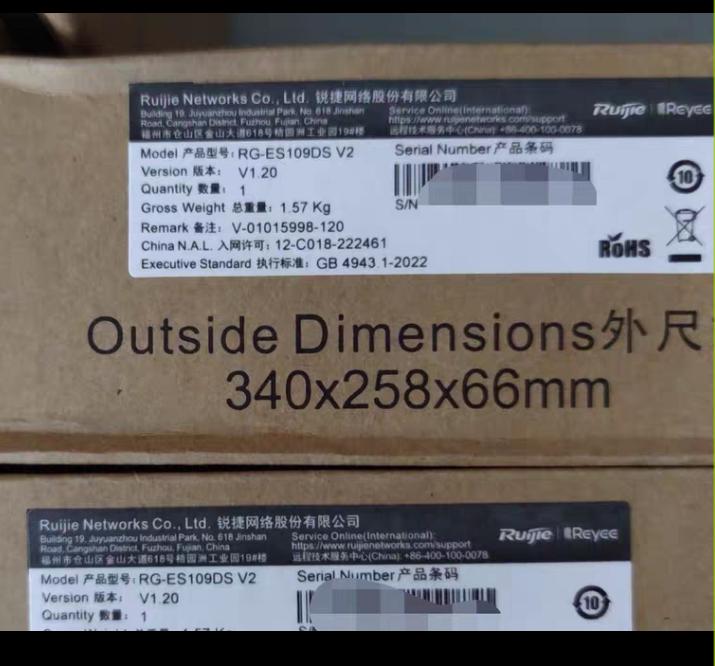 RG-ES109DS V2