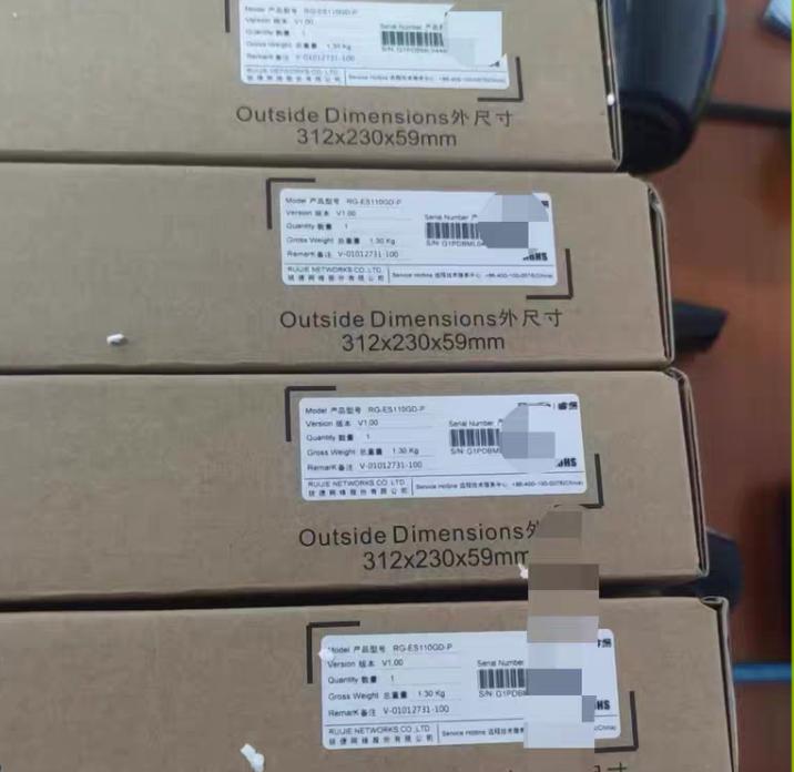 RG-ES110GD-P