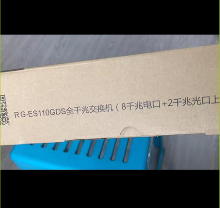 RG-ES110GDS
