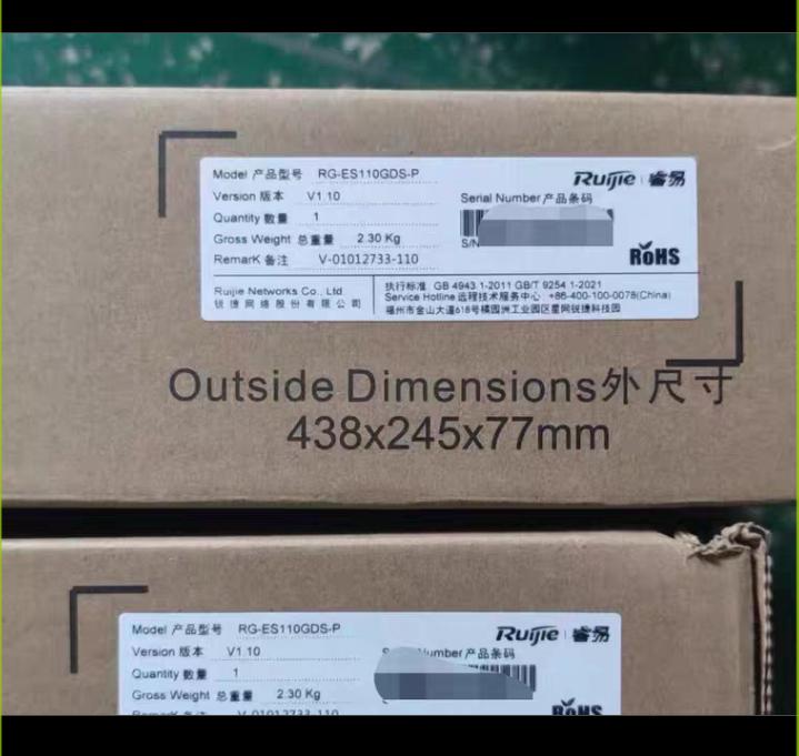 RG-ES110GDS-P