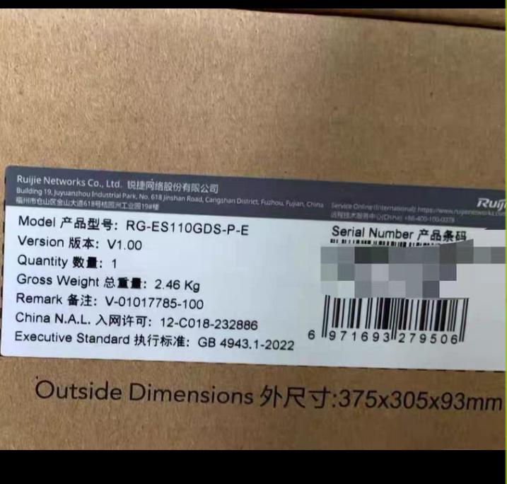 RG-ES110GDS-P-E