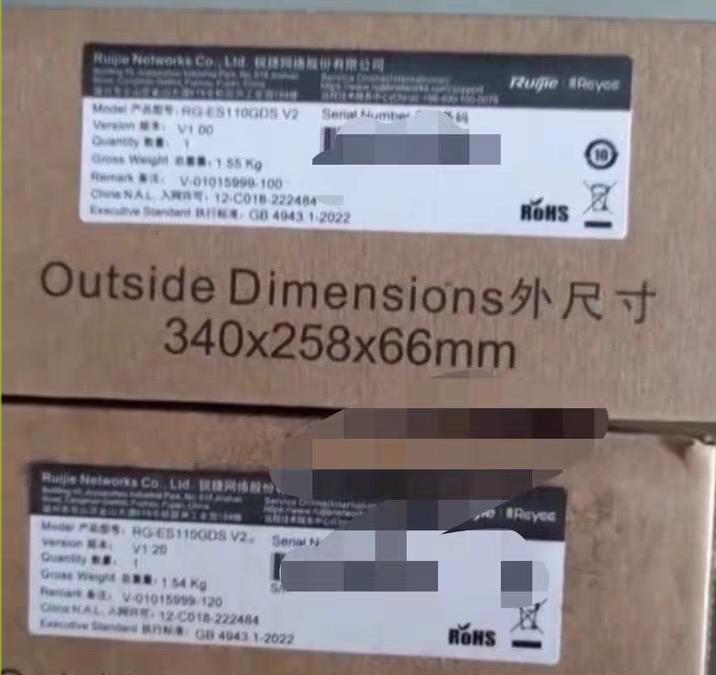 RG-ES110GDS V2
