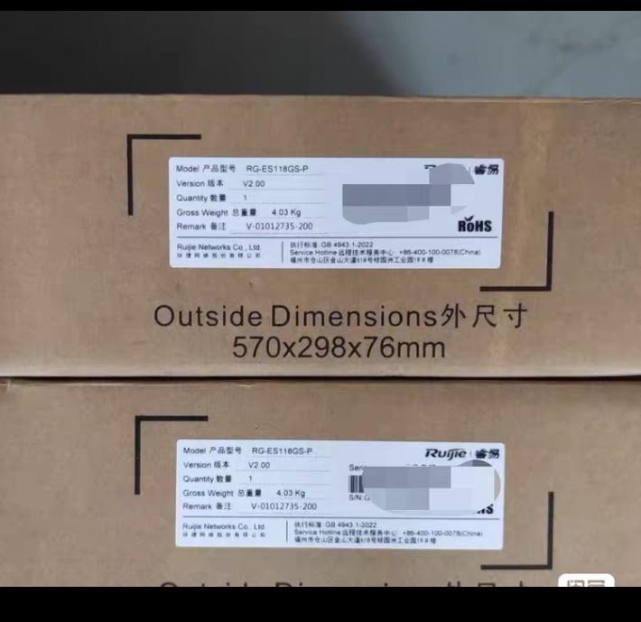 RG-ES118GS-P