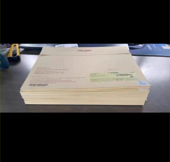 RG-LIC-WS-1