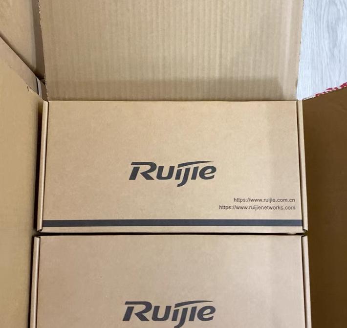 RG-PA150I-F