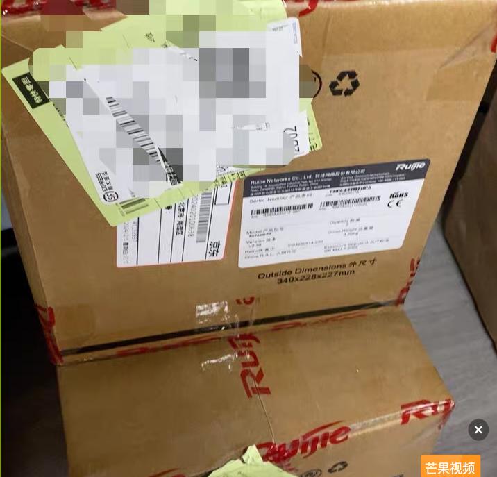 RG-PA600I-P-F