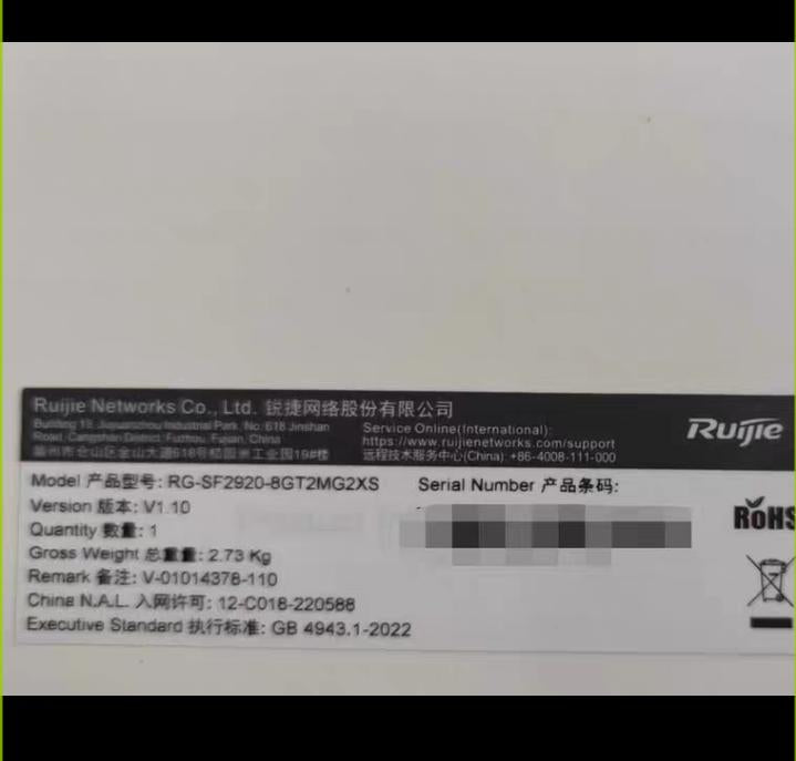 RG-SF2920-8GT2MG2XS