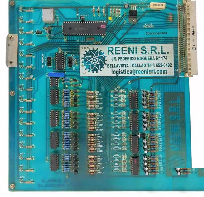 Reeni S R L Pannello Allarme 16 Tarjeta Analogica V3