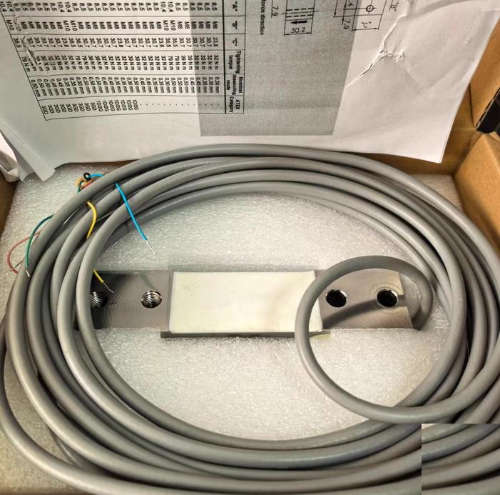 SCHENCK PWS D1 100KG V058895 B04