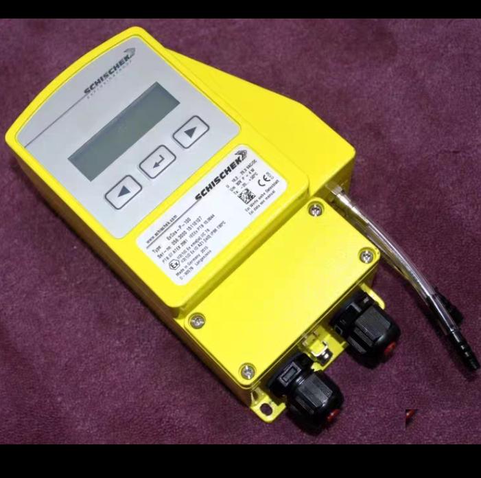 SCHISCHEK ExCos-P-100