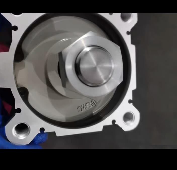 SMC CDQ2A100-25DCMZ 2 1 0MPa