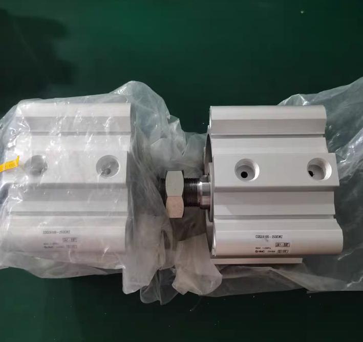 SMC CDQ2A100-25DCMZ 2 1 0MPa