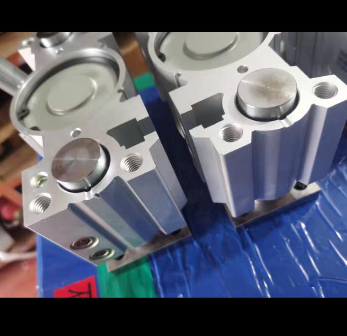 SMC MGPM80-20Z 2