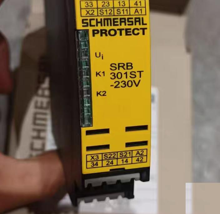 SRB301ST 230V 101170099 3100 G12-3