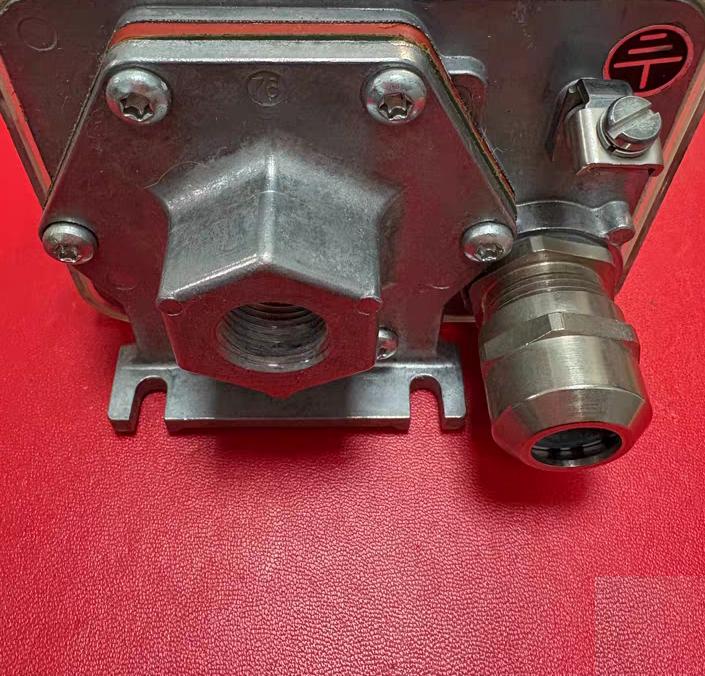 Sauer FF 4-32 GL DAH 1010025 2-32bar 0 55kW IP65