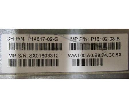 P16102-03-B 300GB