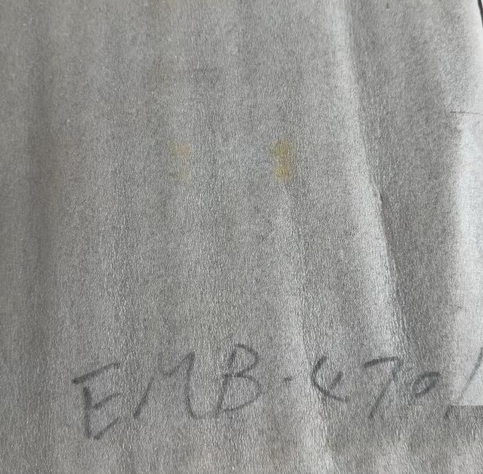TERASAKI EMB-4701