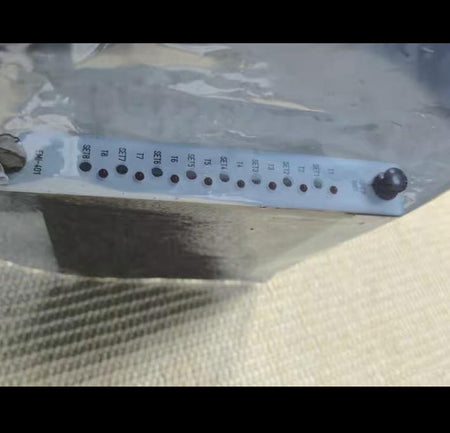 TERASAKI EMI-401