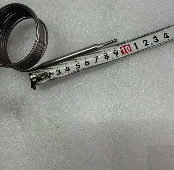 Trafag 412 1254 IS3505SR 683030-007 -30 70℃ 100mm 250V AC 30V DC 15A IP65