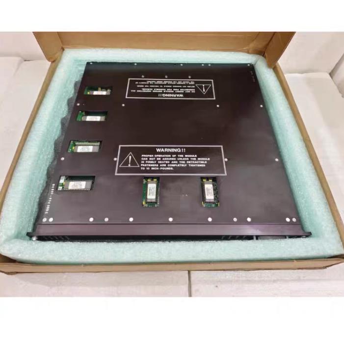 Triconex 3006