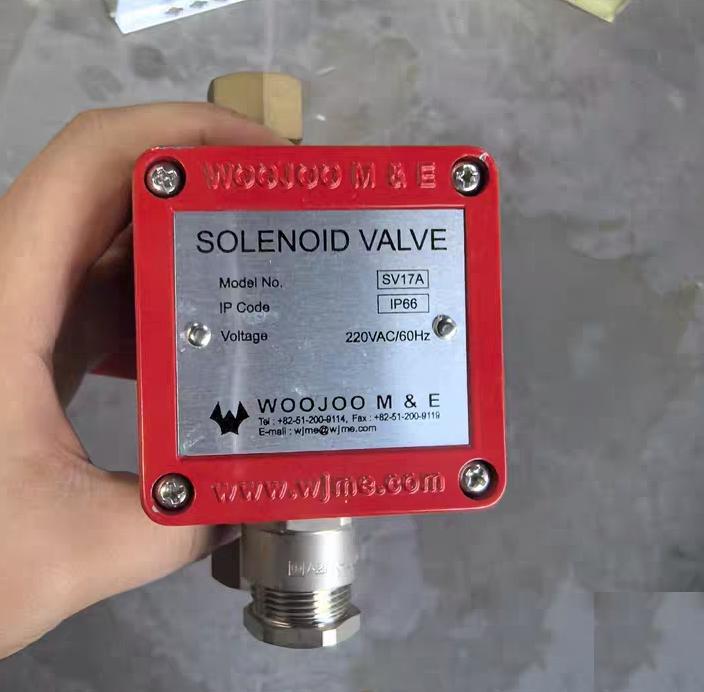 WOOJOOM E SV17A IP66 220VAC 60Hz SV17A