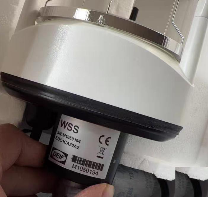 WSS M1050194