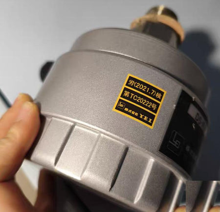 Y E I DS-P2F 2024 5 ExiaⅡCT6X P-9Z2EX 10 1V 37 79mA 95 5mW -20℃ 50℃